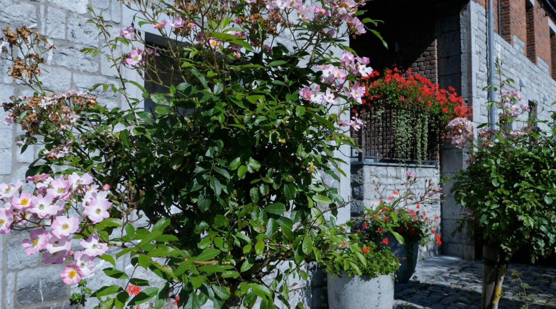 Gites Ferme De La Barriere Chimay Exterior photo